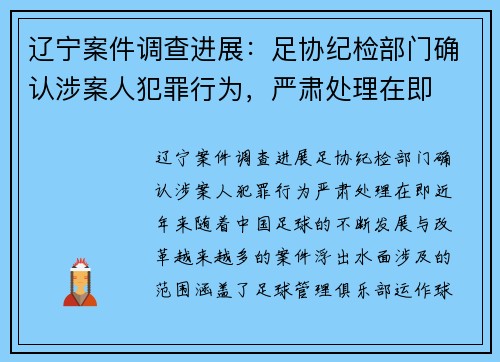 辽宁案件调查进展：足协纪检部门确认涉案人犯罪行为，严肃处理在即