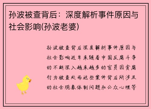 孙波被查背后：深度解析事件原因与社会影响(孙波老婆)