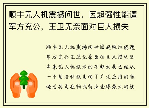 顺丰无人机震撼问世，因超强性能遭军方充公，王卫无奈面对巨大损失